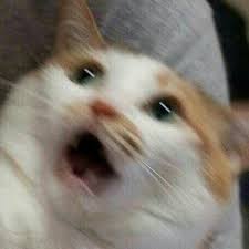 네이비