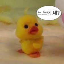 벨레제니아