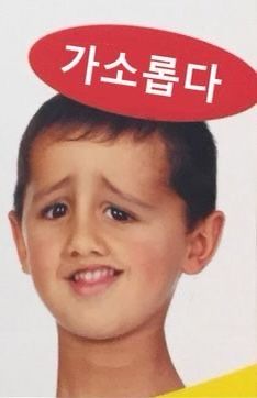 노아 크롬웰