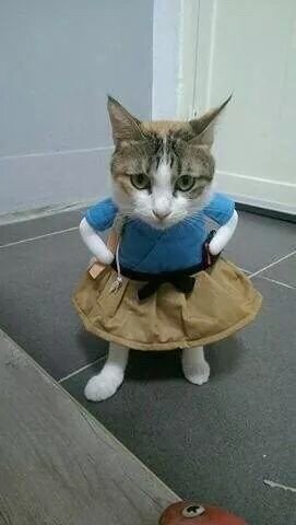 노아 크롬웰